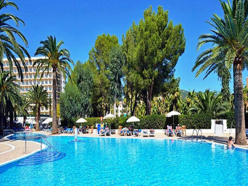 Sol Palmanova Mirlos Tordos Hotell Magalluf