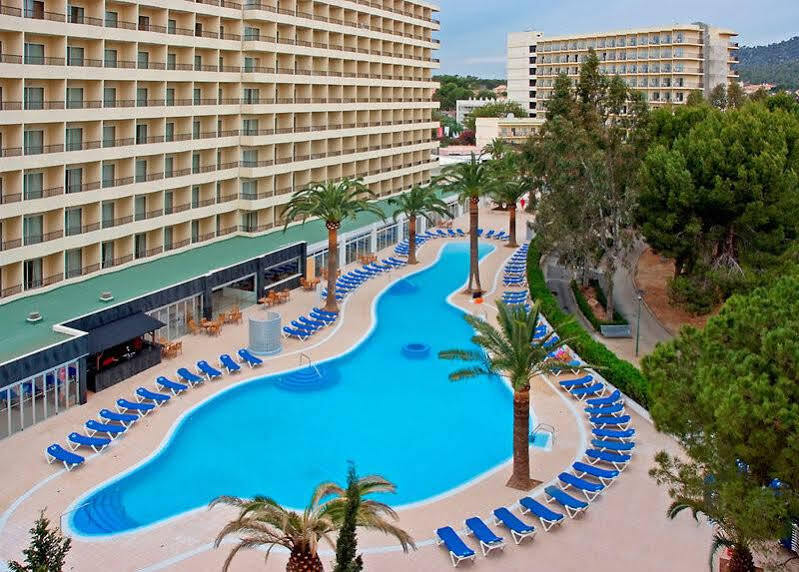 Hotell Sol Palmanova Mirlos Tordos 3*